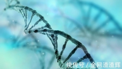 灭绝计划还是生物革命？美国释放10亿基因改造蚊子的全球影响