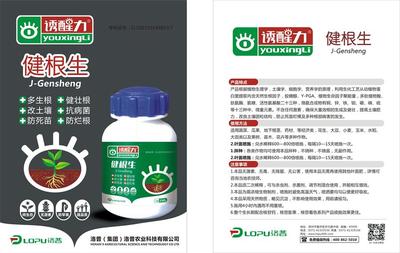 科技赋能根系养护 生物技术引领作物增产新篇章