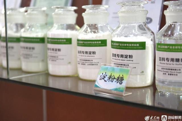 奋力走在前 争当排头兵 谋定全链产业发展之路 德州乐陵高标准食品产业园建设与生物技术推广