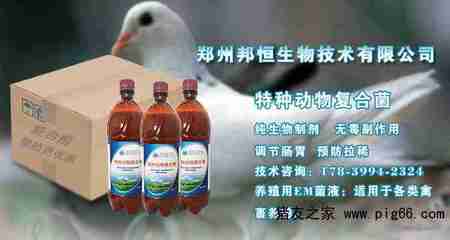 养鸡用的益生菌使用方法竟然这么简单——生物技术走进养殖户