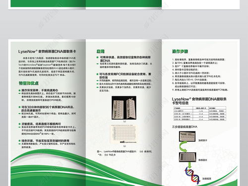 精品绿色能源生物工程科技公司三折页设计图片素材 高清PSD模板下载指南