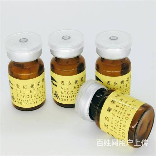 科罗拉多拟无枝酸菌 BIOBW生物 微生物菌种