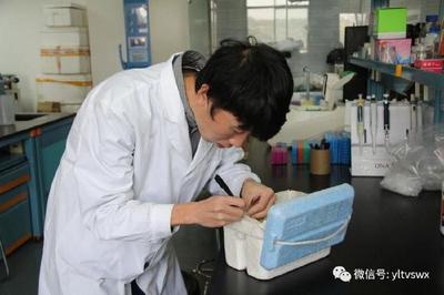 杨凌与河南大学共建“现代农业与生物技术研究院”，加速生物技术推广